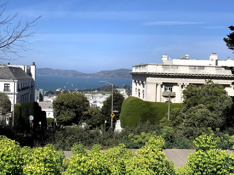 Lafayette Park, a dog-friendly park in San Francisco, California