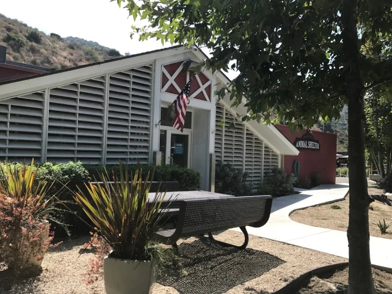 Laguna Beach Animal Shelter, a dog-friendly animal rescue in Laguna Beach, California