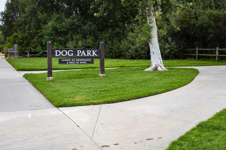 Laguna Beach Dog Park, a dog-friendly dog park in Laguna Beach, California