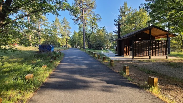 Laguna Campground, a dog-friendly campground in Pine Valley, California