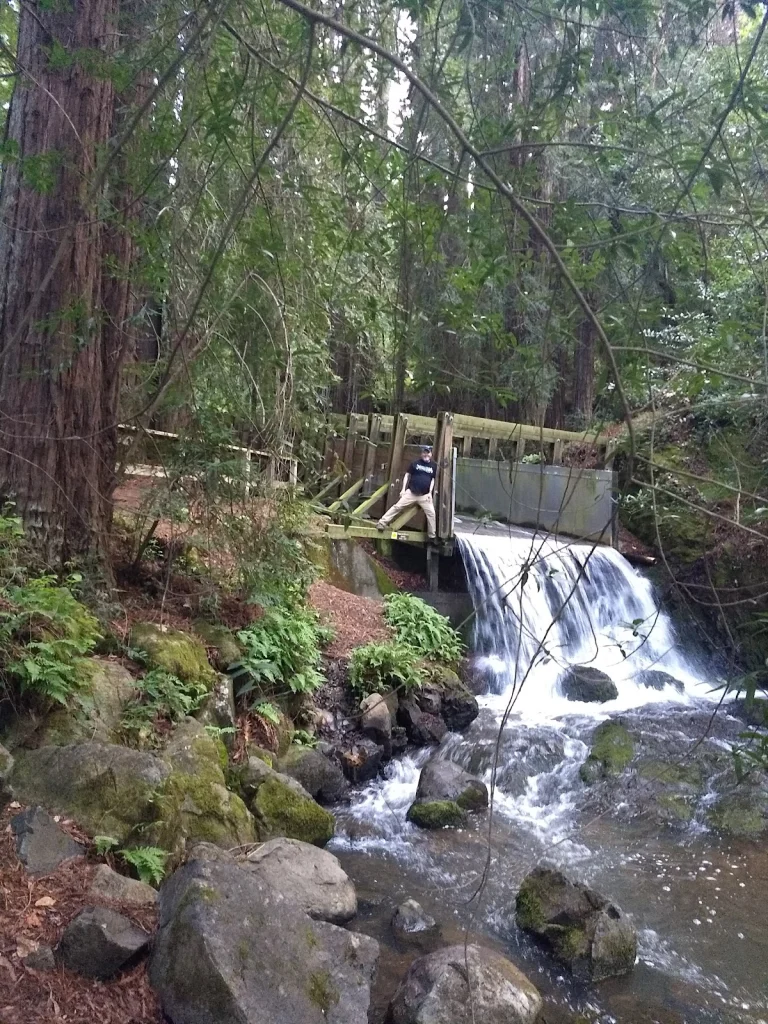 Lake Lagunitas, a dog-friendly lake in Greenbrae, California