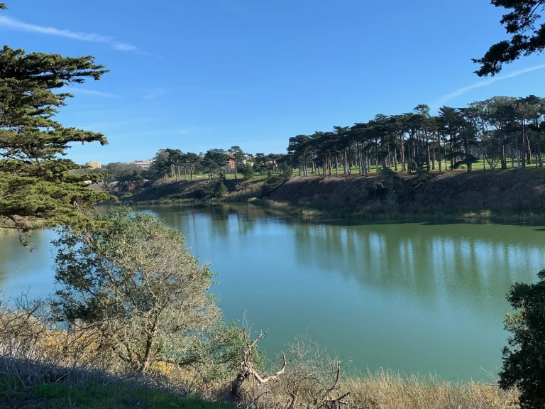 Lake Merced
