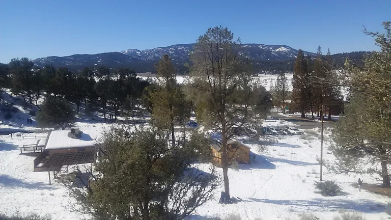 Lake of the Woods Mobile, a dog-friendly campground in Frazier Park, California