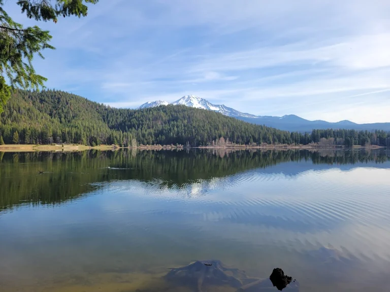 Lake Siskiyou Trail, a dog-friendly hiking trail in Mount Shasta, California