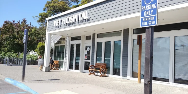 Larkspur Landing Vet, Larkspur