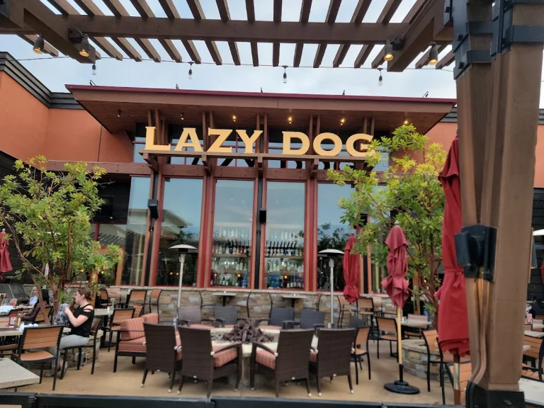 Lazy Dog Restaurant & Bar, a dog-friendly bar in Oxnard, California
