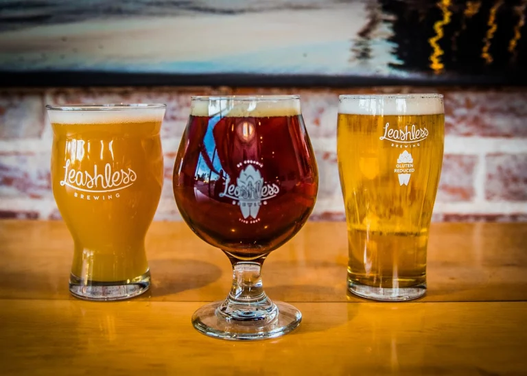 Leashless Brewing, Ventura