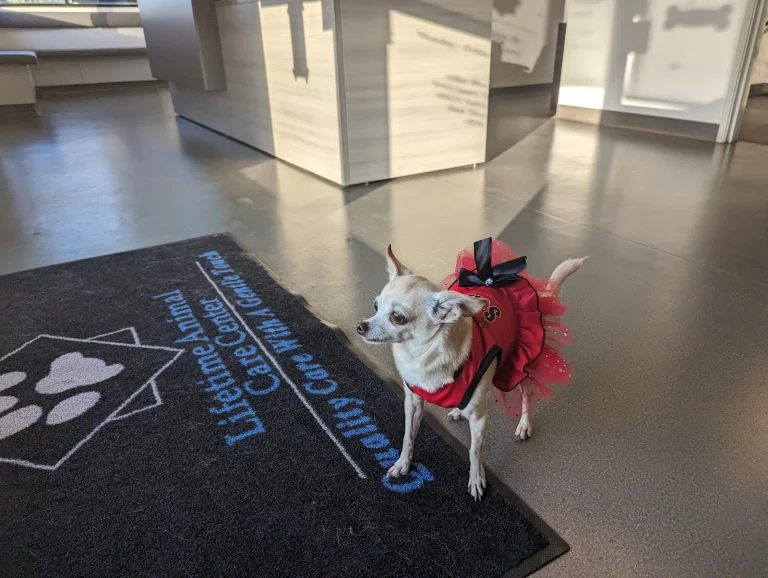 Lifetime Animal Care Center Google Places photo