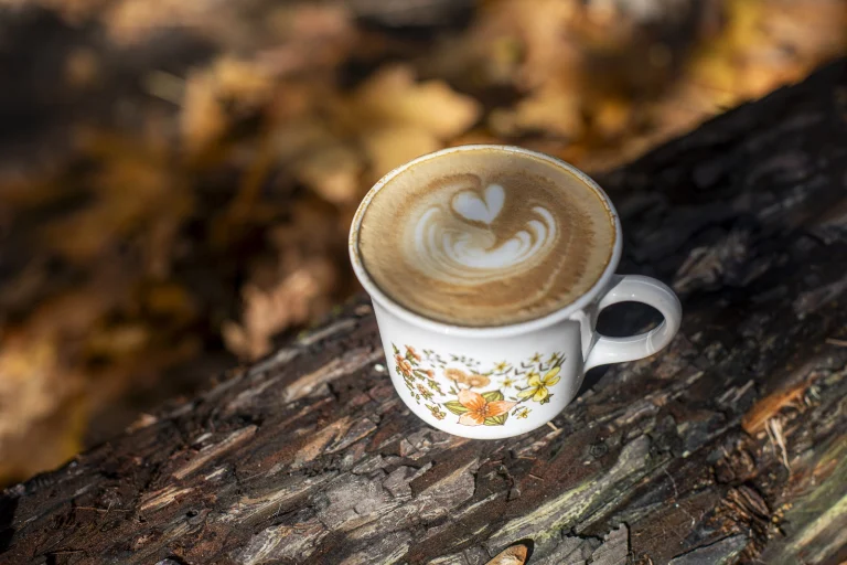 Lightwave Coffee and Kitchen Google Places photo