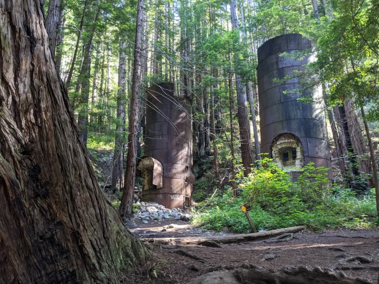 Limekiln State Park, Big Sur