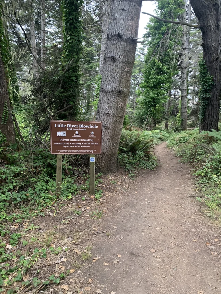 Little River Blowhole, a dog-friendly hiking trail in Little River, California