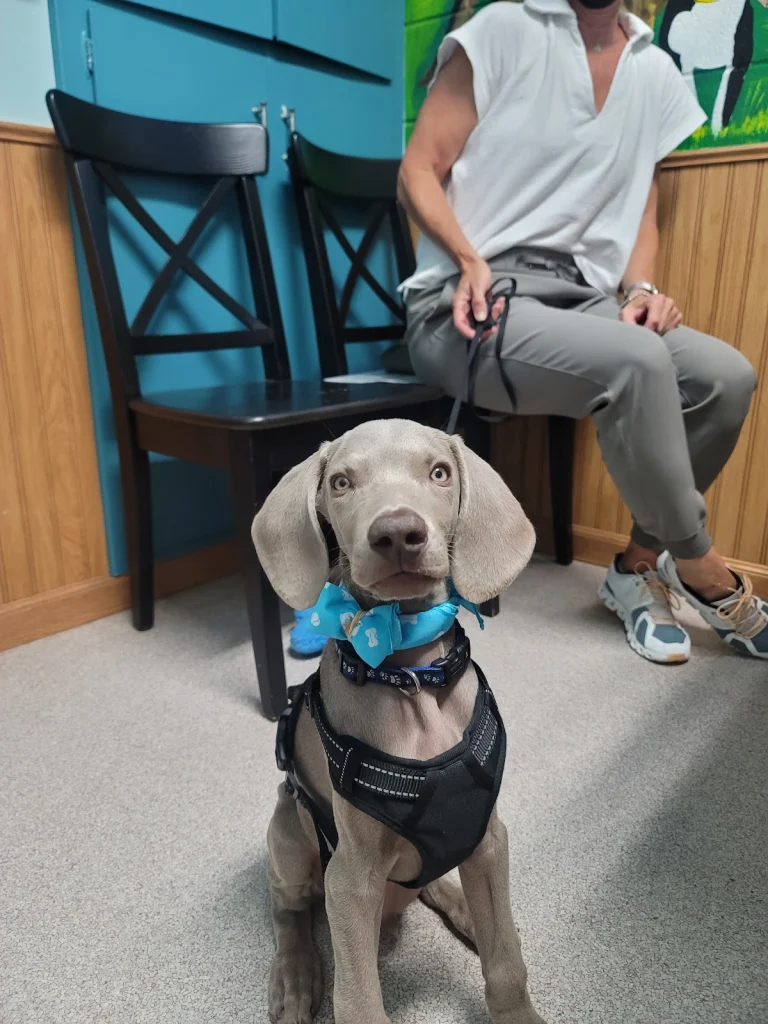 Livermore Veterinary Hospital, Livermore