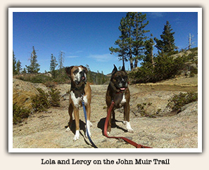 Lola and Leroy