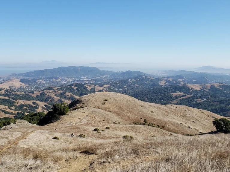Loma Alta Open Space
