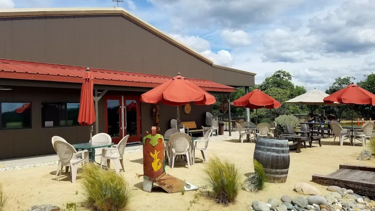 Lone Buffalo Vineyards, a dog-friendly winery in Auburn, California