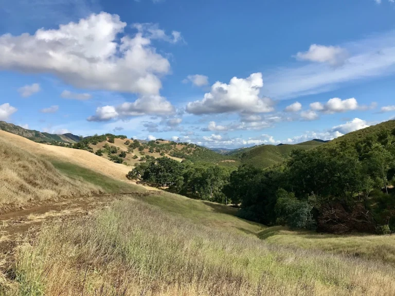 Long Canyon Trail, a dog-friendly hiking trail in Napa, California