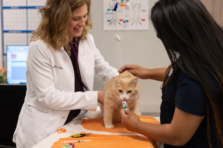 Los Altos Veterinary Clinic, Los Altos