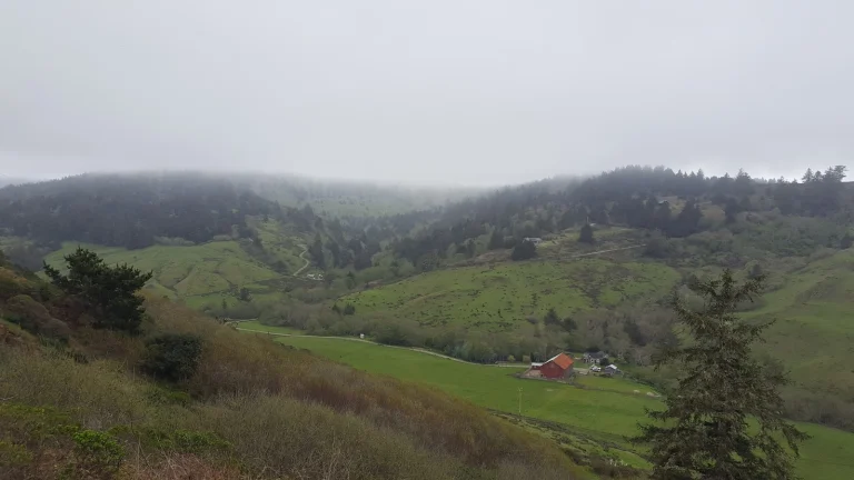Lost Coast Headlands Google Places photo