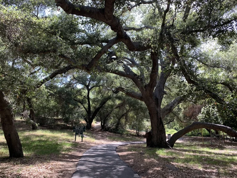 Louis Stelzer County Park