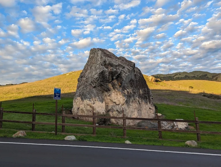 Lucas Valley Open Space, a dog-friendly hiking trail in Nicasio, California