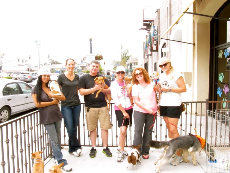 Lucky Pup 45Dog rescue