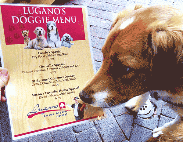 Sidney checking out the dog menu at Lugano's