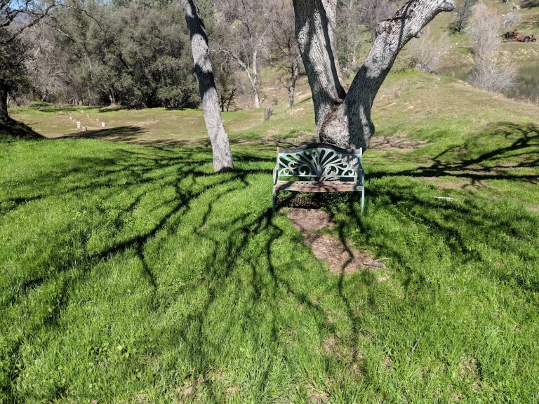 Lyn Mar Pond Guest Ranch Google Places photo