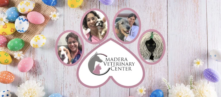 Madera Veterinary Center, Madera