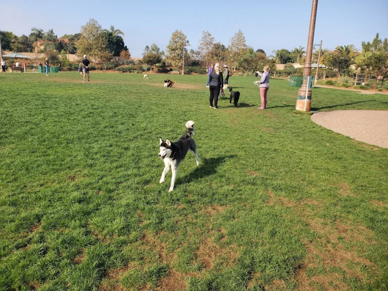 Maggie Houlihan dog park