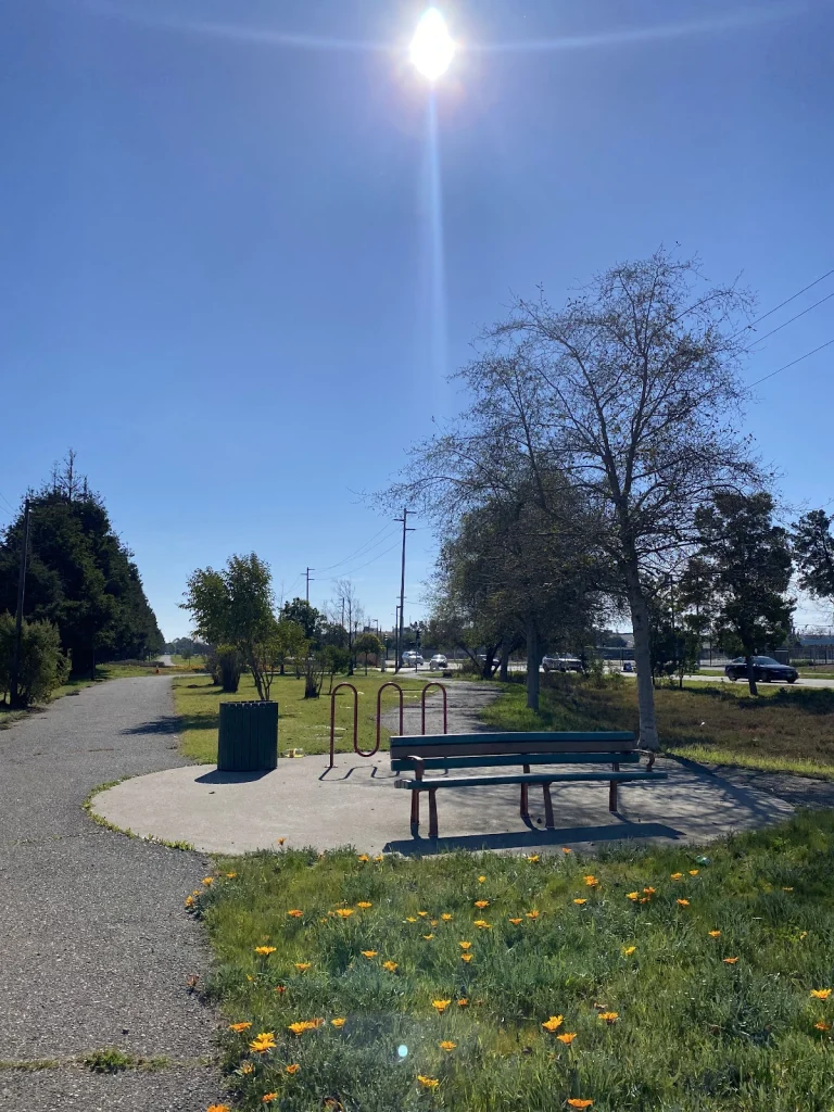 Main Street Linear Dog Park, a dog-friendly dog park in Alameda, California