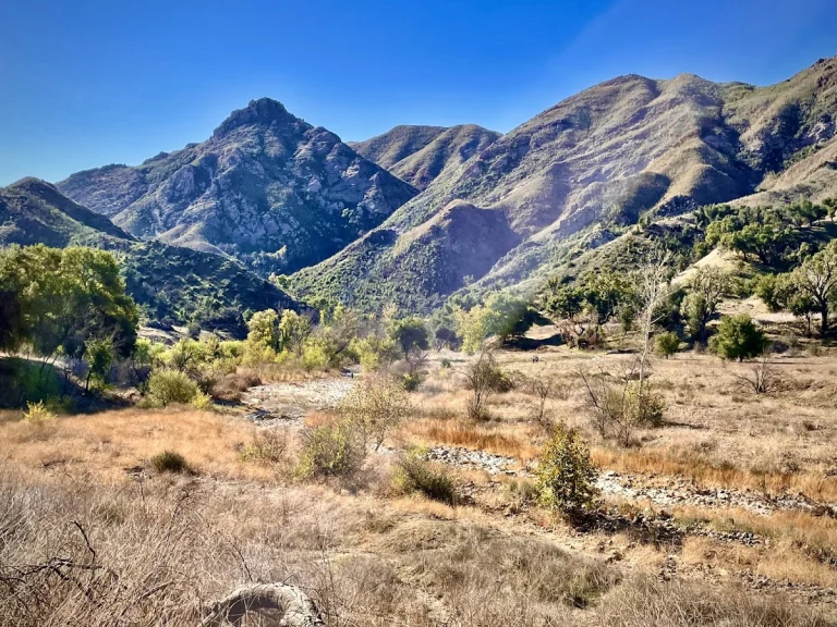 Malibu Creek State Park, a dog-friendly attraction in Calabasas, California