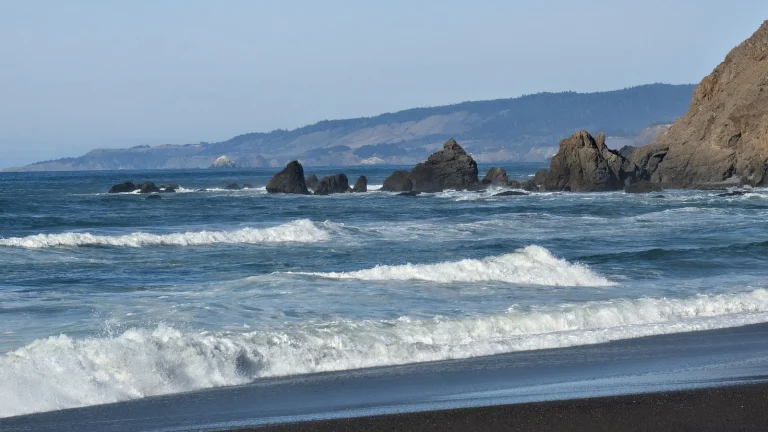 Manchester Beach Google Places photo
