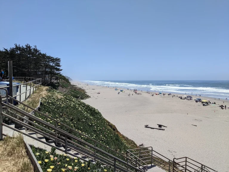 Manresa State Beach