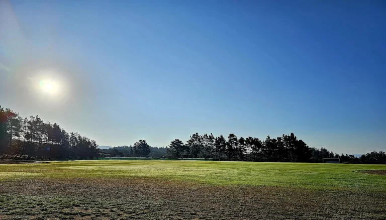 Manzanita Park and Youth, Salinas