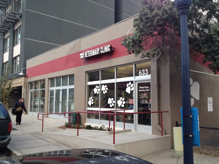 Market Street, a dog-friendly local service in San Diego, California