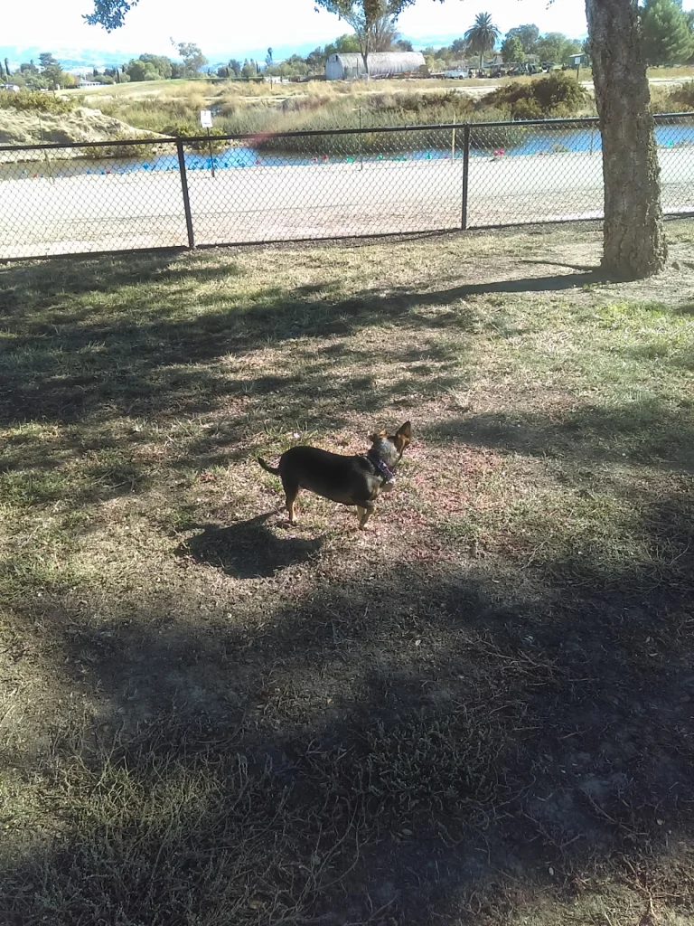 Marlin Pound Dog Park