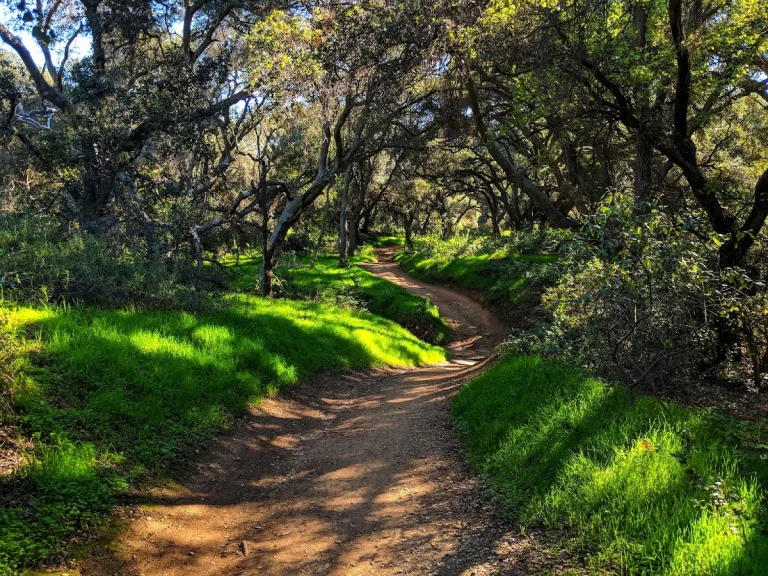 Marshall Canyon Park & Nursery, a dog-friendly park in La Verne, California