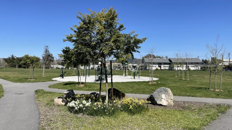 Martin Luther King Jr. Park Google Places photo