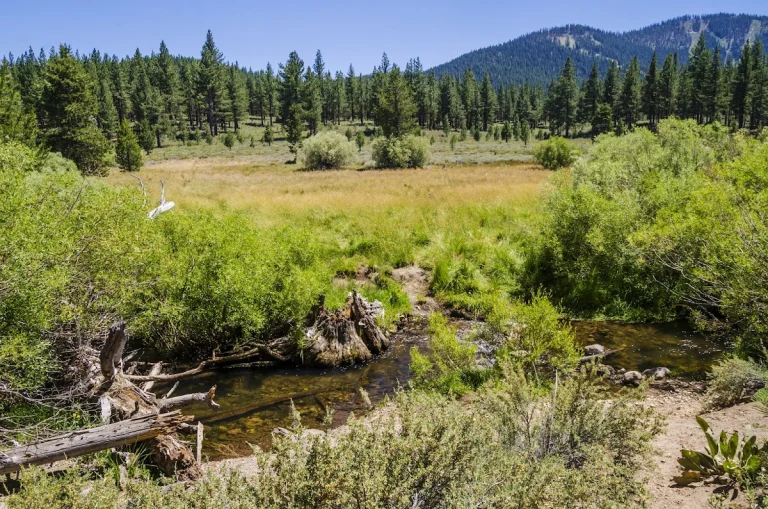 Martis Creek Wildlife Area, Truckee