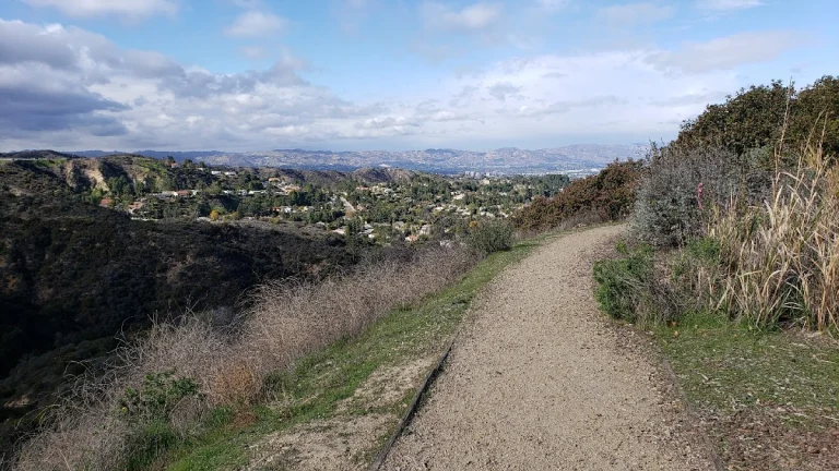 Marvin Braude Mulholland, a dog-friendly park in Tarzana, California