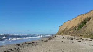 Mavericks Beach, a dog-friendly beach in Half Moon Bay, California