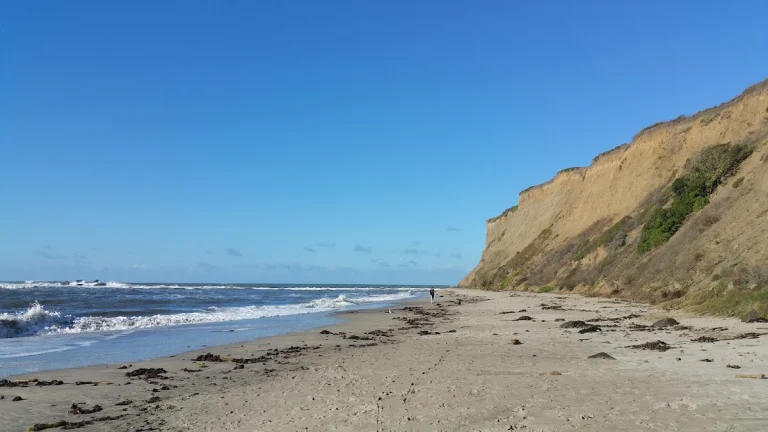 Mavericks Beach, a dog-friendly beach in Half Moon Bay, California