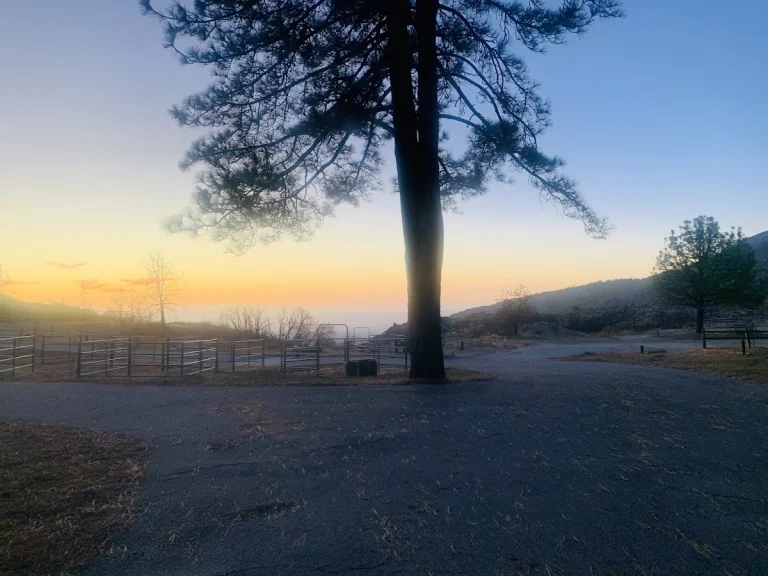 McCall Memorial Equestrian