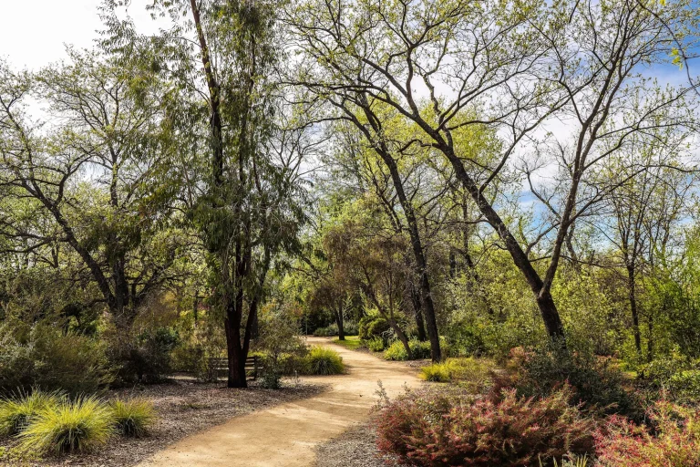McConnell Arboretum