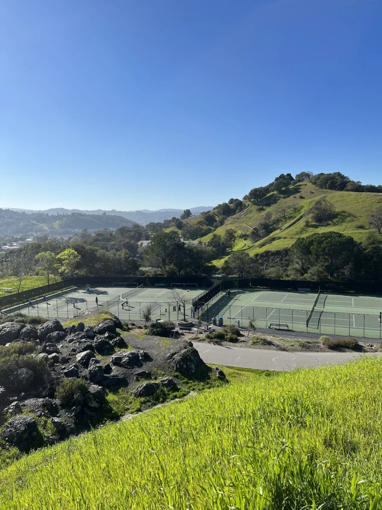 McInnis County Park, a dog-friendly park in San Rafael, California