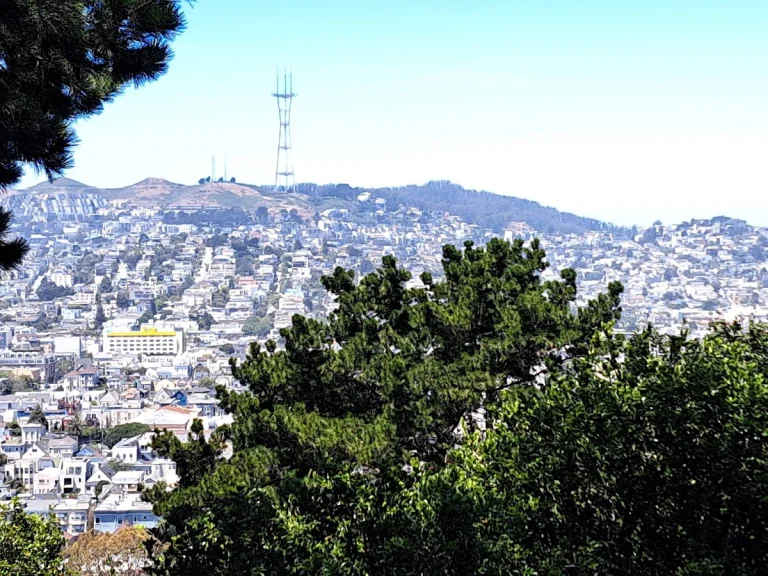 McKinley Square, a dog-friendly park in San Francisco, California