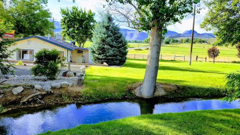 Meadowcliff RV Resort, a dog-friendly campground in Coleville, California