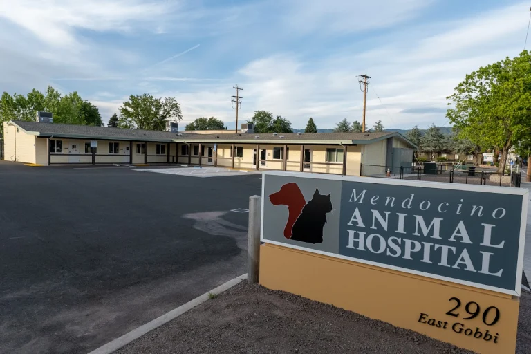 Mendocino Animal Hospital, a dog-friendly veterinary clinic in Ukiah, California