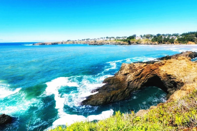 Mendocino Bay Viewpoint Trail