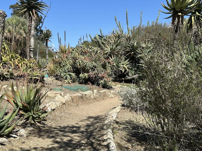 Mildred E. Mathias Botanical, a dog-friendly park in Los Angeles, California